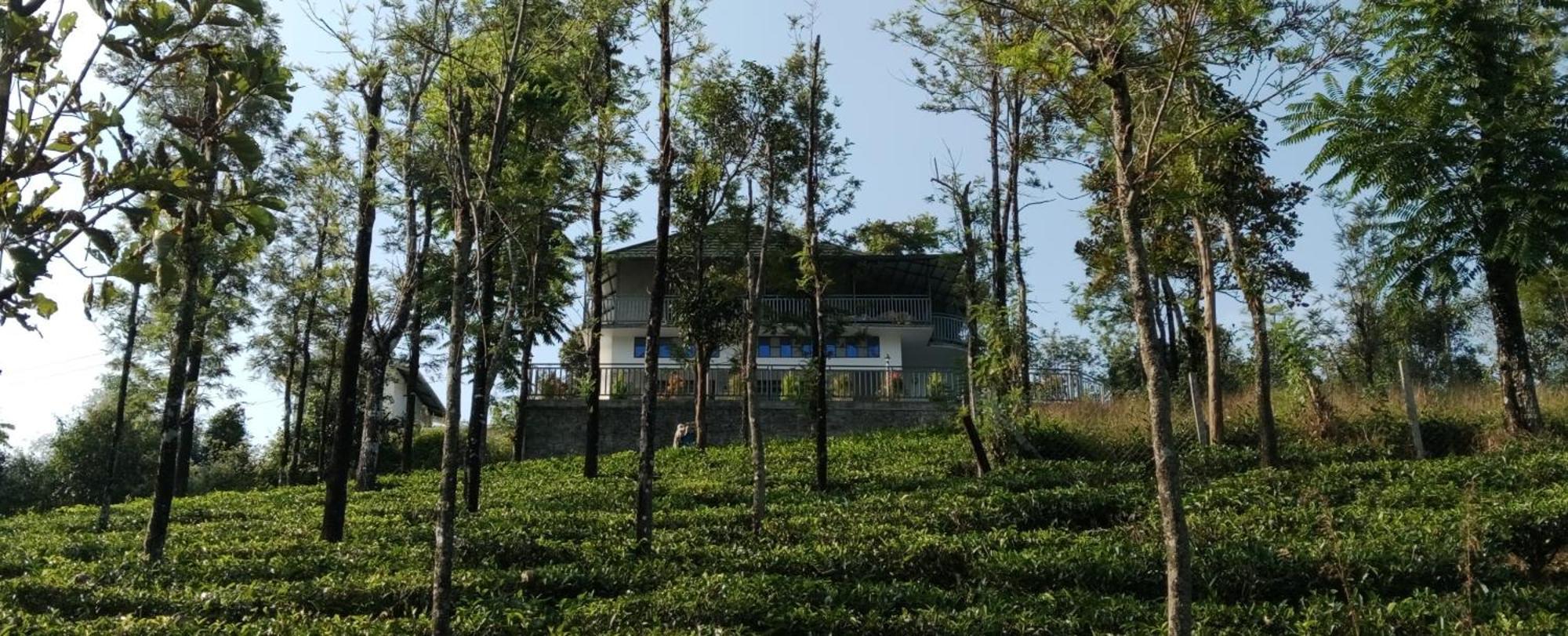 M R Holiday Home Vagamon Dış mekan fotoğraf